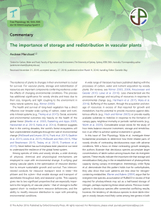The importance of storage and redistribution in vascular plants