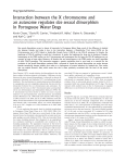 Interaction between the X chromosome and an autosome regulates