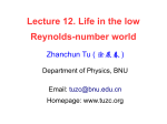 Lecture 12. Life in the low Reynolds