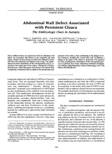 Abdominal Wall Defect Associated with Persistent Cloaca