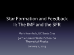 Star Formation and Feedback II: The IMF and the SFR