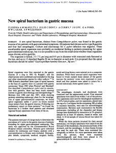 New spiral bacterium in gastric mucosa