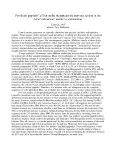 Pyrokinin peptides` effect on the stomatogastric nervous system in