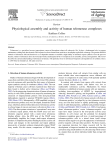 Physiological assembly and activity of human