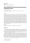 Gross morphometric study of the eyeball and tongue of the Nigerian