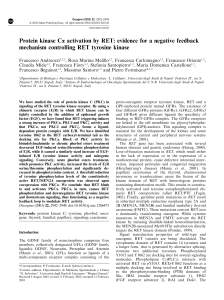 Protein kinase Ca activation by RET: evidence for a negative