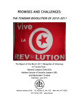Promises and Challenges: The Tunisian Revolution of 2010-2011