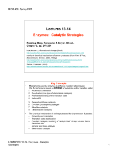 Lectures 13-14 Enzymes: Catalytic Strategies