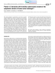 Protein 4.2 interaction with hereditary spherocytosis mutants of the