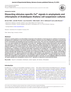 Dissecting stimulus-specific Ca2+ signals in amyloplasts and