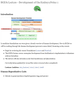 2014 PDF - UNSW Embryology