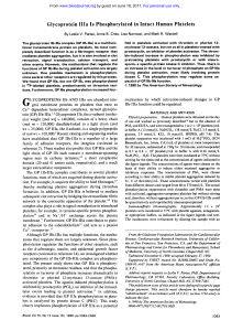 Glycoprotein IIIa Is Phosphorylated in Intact Human