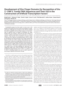 Development of Zinc Finger Domains for Recognition of the 5