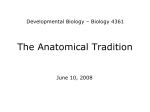 1. The Anatomical Tradition