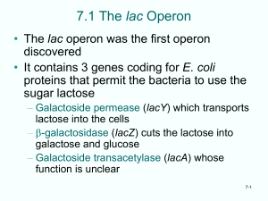 7.1 The lac Operon