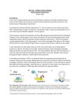 APh 162 – Cellular Decision Making Measuring Gene Expression