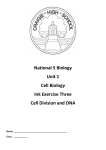 Cell Division and DNA