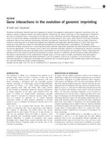 Gene interactions in the evolution of genomic imprinting