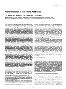 Axonal Transport of Monoclonal Antibodies