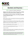 Enzymes are Catalysts - nxc technologies, inc.