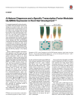 A Histone Chaperone and a Specific Transcription