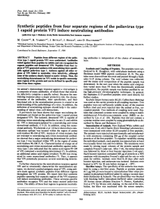 Synthetic peptides from four separate regions of the poliovirus type 1
