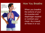How You Breathe