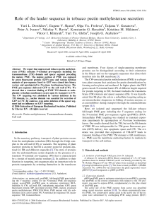 Role of the leader sequence in tobacco pectin methylesterase