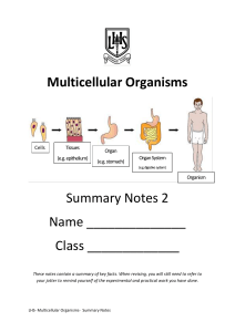 Multicellular Organisms summary notes