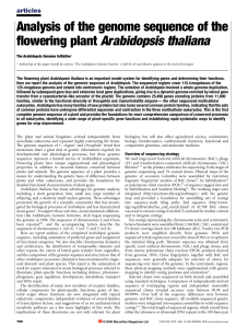 Analysis of the genome sequence of the ¯owering plant