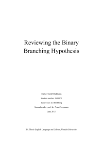 Reviewing the Binary Branching Hypothesis