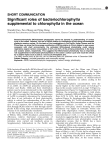 Significant roles of bacteriochlorophylla supplemental to