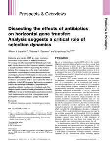 Dissecting the effects of antibiotics on horizontal gene transfer