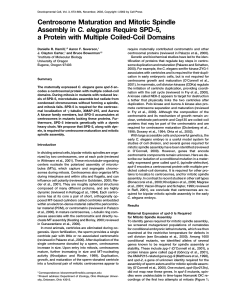 Centrosome Maturation and Mitotic Spindle Assembly in C. elegans