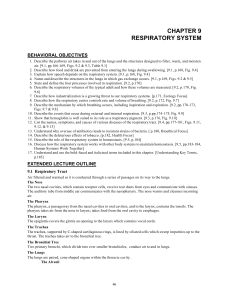 CHAPTER 9 RESPIRATORY SYSTEM