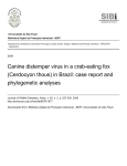 Canine distemper virus in a crab-eating fox