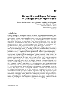 Recognition and Repair Pathways of Damaged DNA