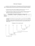 Molecular Cladogram