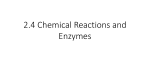 2.4 Chemical Reactions and Enzymes