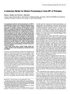 A Selection Model for Motion Processing in Area MT