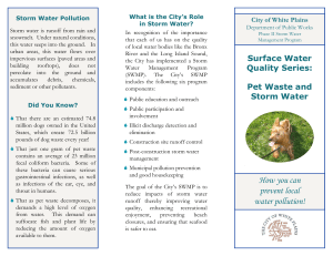 How you can prevent local water pollution!