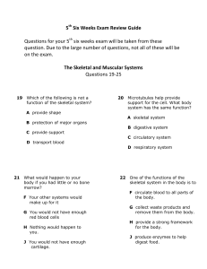 The Skeletal and Muscular Systems