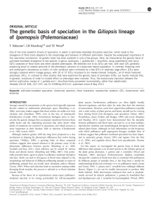 The genetic basis of speciation in the Giliopsis lineage of
