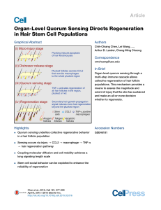 Organ-Level Quorum Sensing Directs Regeneration in Hair Stem