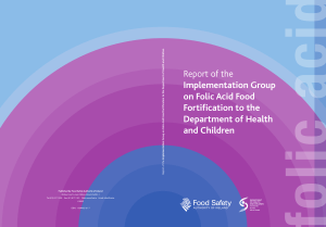 Report of the Implementation Group on Folic Acid Food Fortification