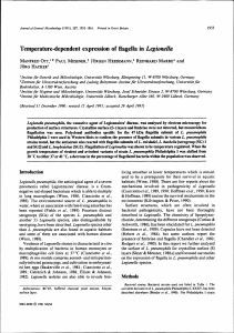 Temperature-dependent expression of flagella in Legionella