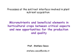 Micronutrients and beneficial elements in horticultural crops
