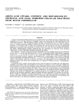 amino acid uptake, content, and metabolism by neuronal and glial