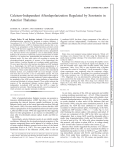 Calcium-Independent Afterdepolarization Regulated by Serotonin in