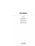 Dendrite structure
